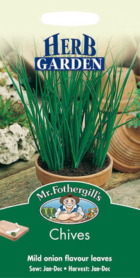 WILLVINE LX-258 Chives Seeds Seed(500 per packet)