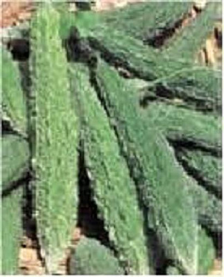 Aywal Vegetable seed -Bitter Gourd - Karela Seeds F1 Hybrid Seed(400 per packet)