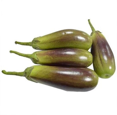 LPR BAGAN Seed(300 per packet)