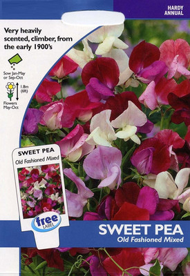 CYBEXIS Flower - Sweet Pea Old Fashioned Mixed Seed(50 per packet)