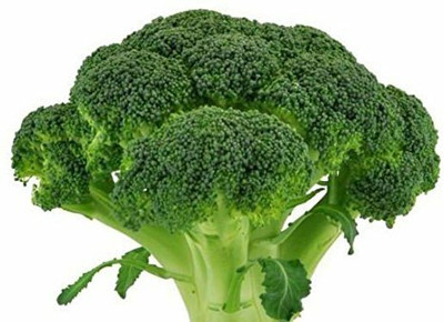 CYBEXIS PAU-28 - Green Hybrid Broccoli - (150 Seeds) Seed(150 per packet)