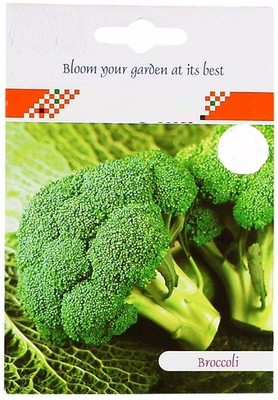 CYBEXIS Broccoli Hybrid Seeds2000 Seeds Seed(2000 per packet)