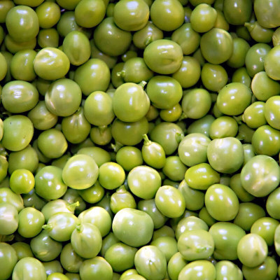 Hybrid Galaxy Fresh Hybrid Green Peas Vegetable Seed(10 per packet)