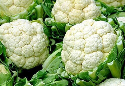 WILLVINE AMR -XIII Fall & Winter Snowball Cauliflower[10g, 3000 Seeds] Seed(3000 per packet)