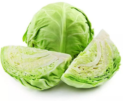 MYLAWN Cabbage Green Vegetables Seed(500 per packet)