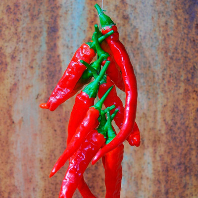 granthi Red Long Chili लाल मिर्च Seed(300 per packet)