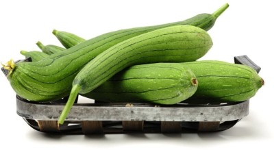 VibeX Hybrid Desi Sponge Gourd (Tori) Seed Planting[10 Gms, 50 Seeds] Seed(50 per packet)