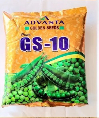 Pbevergreen gs10 pea Seed(20 per packet)