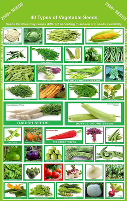 CYBEXIS 40 Varities Of Vegetable Seeds Combo 2500+ Seed(10 g)