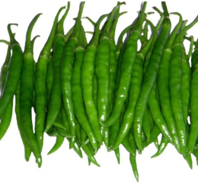 Quentova Green Chilli Indian हरी मिर्च-9P-NAMO Seed(300 per packet)