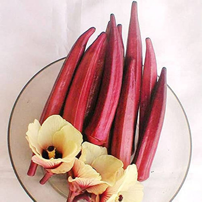 wequality Red ladies finger seeds for planting/ladies finger seeds 81 Seed(81 per packet)