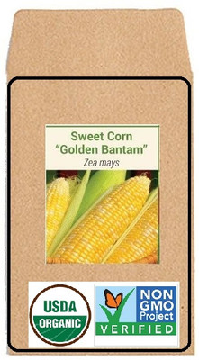 CYBEXIS Hybrid Seeds-Sweet Corn2000 Seeds Seed(2000 per packet)