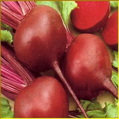 Avysa Vegetable Beet seeds, Organic Beetroot Seed(2000 per packet)