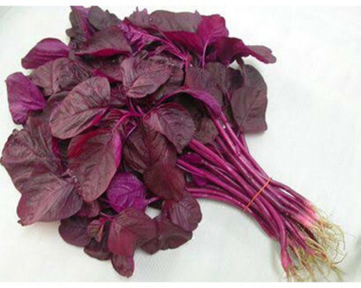 Cloud Farm Lal Saag/ Red Spinach, Red Amaranthus Seed Seed(300 per packet)