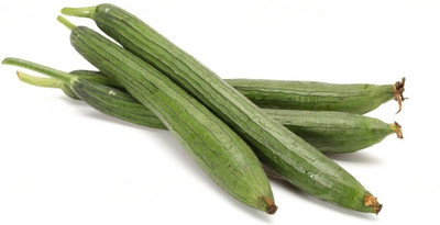 KNESSiN Gourd Seeds Sponge Gourd Seeds Luffa Seeds Seed(500 per packet)