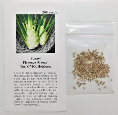 VibeX XLR-57 - Common Fennel (Foeniculum vulgare) - (2250 Seeds) Seed(2250 per packet)