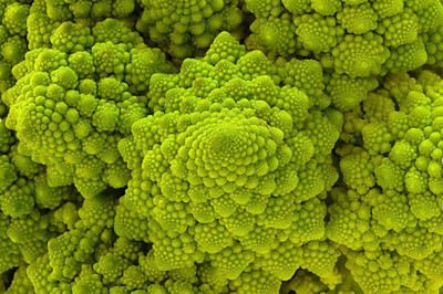 CYBEXIS Brocoverde Cauliflower Variety2000 Seeds Seed(2000 per packet)