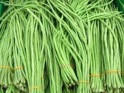 SUPRIKAM HYBRIDE/LONG LIFE/HIGH YIELD LONG BEAN/BARBATI Seed(11 per packet)