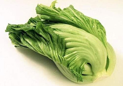 Qualtivate RES-7A Chinese Mustard Green GAI Choi Seed(300 per packet)