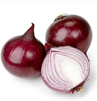 KNESSiN Red Onion Seed(200 per packet)