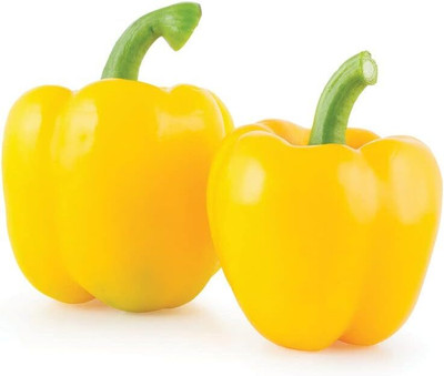 KNESSiN Heirloom California Wonder Capsicum Seeds For Kitchen Gardening-(100 Seeds) Seed(100 per packet)