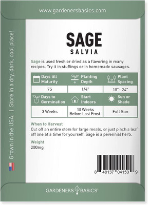 CYBEXIS VXI-53 - Sage for Planting - (1350 Seeds) Seed(1350 per packet)