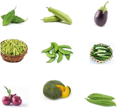 CYBEXIS Vegetable Seeds Combo Pack Of 9 Varieties Seed(10 g)