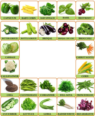 Greenery Hub 25 Variety Of Seeds Vegetable Seeds Combo Seed(1500 per packet)