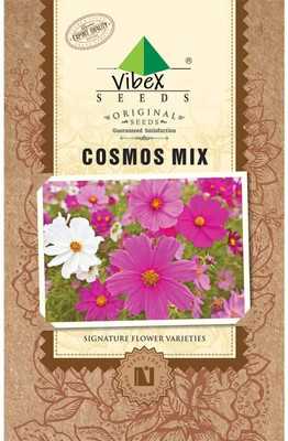 CYBEXIS Flower - Cosmos Rubenza Seed(1 g)