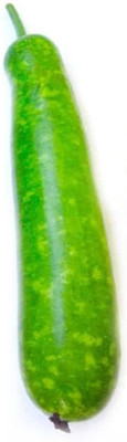 Qualtivate PUAS-3A Hybrid Bottle Gourd (Long) Seeds Seed(50 per packet)