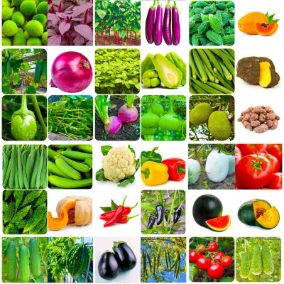 the green dotcom 40 variety summer Season vegetable seeds combo Seed(1700 per packet)