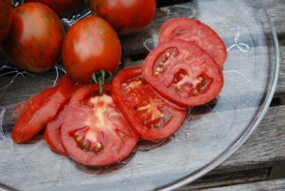 CYBEXIS Salad Tomato Varieties—‘Black Zebra’2000 Seeds Seed(2000 per packet)