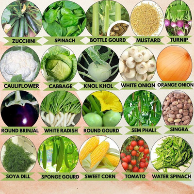 Greenery Hub Grow Fresh and Healthy: The 20-Vegetable Combo! Seed(20 per packet)