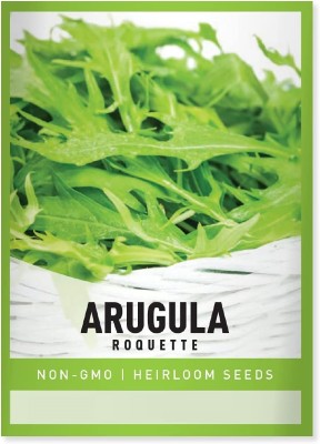 Qualtivate LX-148 Speedy Arugula Seeds Seed(500 per packet)