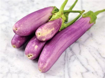 BDSresolve Long brinjal seeds hybrid f1 Pack of 101 Seed(101 per packet)