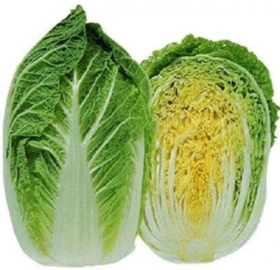 Cloud Farm CABBAGE Seed(25 per packet)