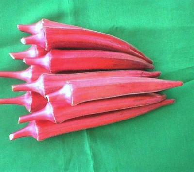 Aywal Summer Vegetable Red Okra - Hibiscus esculentus Seed(250 per packet)
