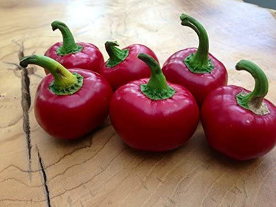 CYBEXIS F87Red Cherry Bomb Hot Chili Pepper Seeds2000 Seeds Seed(2000 per packet)
