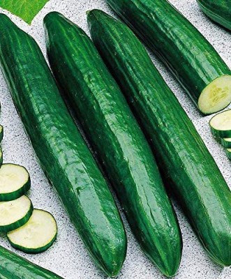 VibeX XL-12 - Rare Cucumber Emelya Giant Long - (1350 Seeds) Seed(1350 per packet)