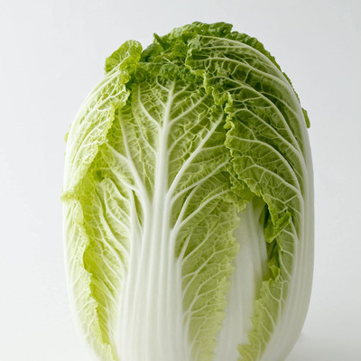 WILLVINE VNR -I Chinese Cabbage Seeds - Chun Yeon Gold [10g] Seed(3000 per packet)