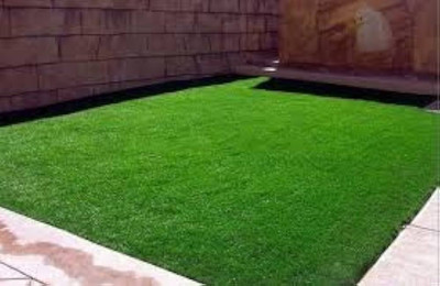 ibains Carpet lawn grass seed for home garden Seed(4800 per packet)