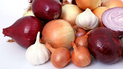 WILLVINE KGF -IV Multicolor Onion Seed Allium Cepa [50g] Seed(30000 per packet)