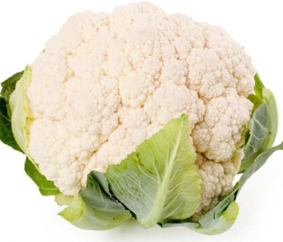 Quentova Cauliflower Phool Gobhee/Phul Gobhi गोभी-7T-NDIR Seed(200 per packet)