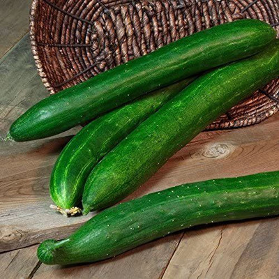 CYBEXIS VXI-70 - Cucumber Tasty Green Hybrid - (450 Seeds) Seed(450 per packet)