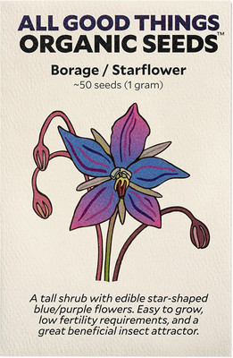 VibeX HUA-99 - Blue Star Borage - (1350 Seeds) Seed(1350 per packet)