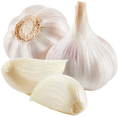 Avysa Garlic Cloves Seed(40 per packet)