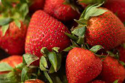 XOLDAA F1 HYBRID best quality strawberry fruit seeds Seed(41 per packet)