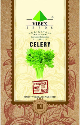 WILLVINE Celery Seeds - (10000 Seeds) Seed(10000 per packet)