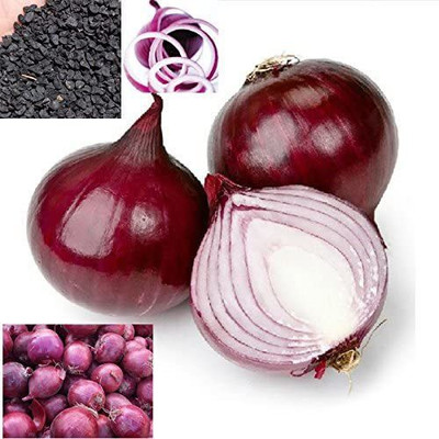 CYBEXIS Spring Onion Red Onion Seeds 1000 Seeds Seed(1000 per packet)