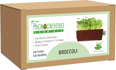 Sow and Grow Microgreens Grow Kit: Broccoli 20 Grams, Easy to Use Kit for Beginner Gardener Seed(1 per packet)